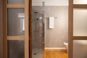La salle de bains est pourvue d'une douche en verre et de toilettes. dans l'établissement Apartamento en el centro la ciudad, à Madrid