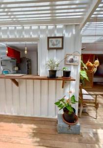 eine weiße Küche mit Topfpflanzen auf einer Theke in der Unterkunft Calme et apaisant in La Saline-Les-Bains