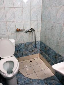 a bathroom with a toilet and a shower at Hotel Panorama in Agios Panteleimon