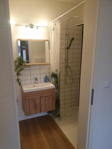a bathroom with a sink and a shower at Ferienwohnung Luitpold 2 in Memmingen
