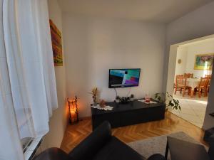 Televízia a/alebo spoločenská miestnosť v ubytovaní Villa Živana