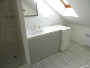 un bagno con lavandino e doccia di Le Massif des Ecrins a Les Clots