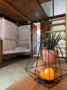 a room with a bed and a potted plant on a table at BONITA HOSTEL in Palomino