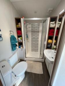 a small bathroom with a toilet and a sink at Ladram Bay Holiday Park D54 in Otterton