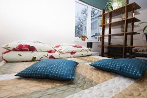 2 almohadas sentadas encima de una cama en Drusva Apartamentai, en Druskininkai
