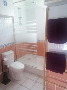 ein Bad mit einem WC und einer Glasdusche in der Unterkunft Ti case Mellauman : Anse Plage in Les Trois-Îlets