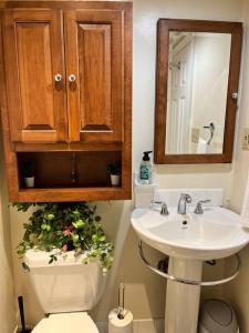 een badkamer met een toilet, een wastafel en een spiegel bij Tamarack Home Away from Home in Silver Spring