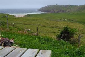 een houten bank op een veld met de oceaan bij Beachview Villa on Scottish Highland Coast NC500 With Hot Tub in Rhiconich