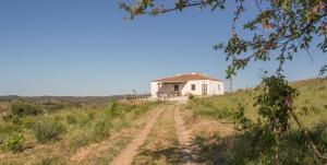 Táj Show holiday homes közelében