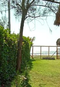 park z drzewem i ławką w trawie w obiekcie Portón Azul w mieście Montañita