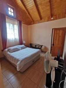 um quarto com uma cama, uma secretária e uma ventoinha em Hospedaje Atitur em San Pedro de Atacama