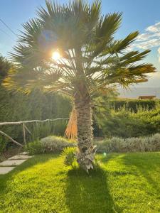 Zahrada ubytování Villa Siciliana con piscina e vista panoramica sul mare