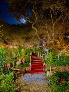 eine Treppe in einem Garten in der Nacht in der Unterkunft Rochabus in Ica