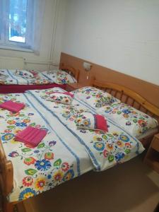 Säng eller sängar i ett rum på Apartman Slavka