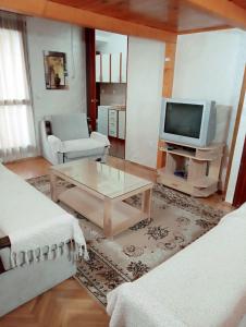 Apartman Djordjije في بار: غرفة معيشة مع أريكة وتلفزيون