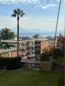 - une vue sur une ville avec un palmier et des bâtiments dans l'établissement Dimora Eleuthera, à Naples