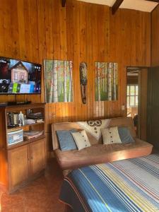 Río Cuarto的住宿－Equipped cottage in Laguna Hule，一间带沙发和电视的卧室
