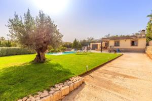 un cortile con un albero e una piscina di Precioso chalet Son Calderitx ad Ariany