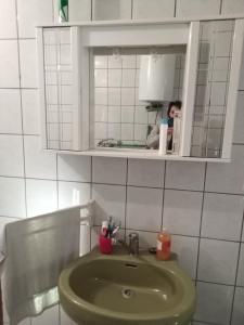 a bathroom with a green sink and a mirror at Barun apartman in Lusnić