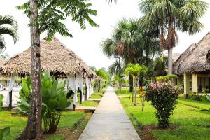 a path leading to a resort with palm trees at Irapay Amazon Lodge - Asociado Casa Andina in Padre Cocha