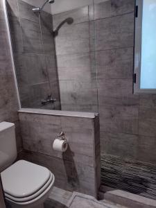 een badkamer met een douche, een toilet en een toiletrol bij Cabaña Los Abedules in Villa Pehuenia