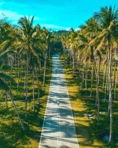 een met bomen omzoomde weg met palmbomen aan weerszijden bij PEPAYEN INN Homestay in General Luna