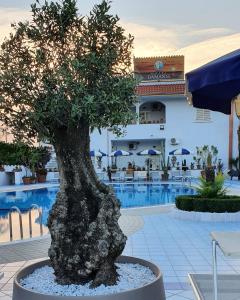 Πισίνα στο ή κοντά στο Hotel Damanse