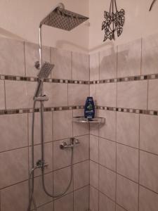 e bagno con doccia e soffione. di Spacey,central apartment near Alexanderplatz a Berlino