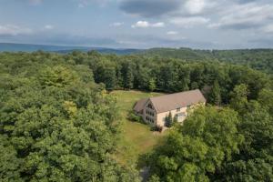 an aerial view of a house in the middle of trees at The Mountain Lodge in Elliottsburg