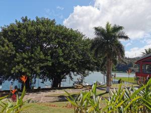 un grupo de árboles junto a un cuerpo de agua en Hotel Puerto San Luis, en Tilarán
