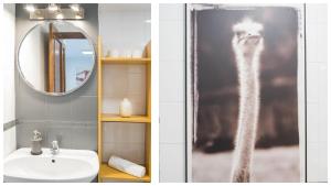 a bathroom with a picture of a cat in the shower at Casa Recogidas - Apartamentos Aloha Toledo in Toledo +16 photos