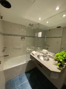a bathroom with a sink and a shower with a mirror at Garden Park Hotel in San Miguel de Tucumán