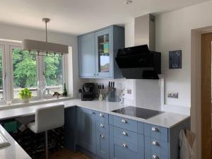 a kitchen with blue cabinets and a counter top at The Quay Pottery in Kent