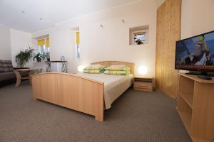 1 dormitorio con 1 cama y TV de pantalla plana en Drusva Apartamentai, en Druskininkai