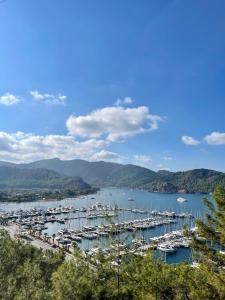 Galeriebild der Unterkunft Marimare Beach & Bungalow in Marmaris + 34 Fotos