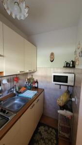 a small kitchen with a sink and a microwave at Casa Felicia in Pescasseroli