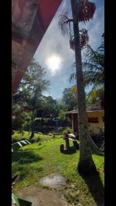 palma w ogrodzie obok domu w obiekcie Sítio e Pousada Recanto Dos Ipês w mieście Teresópolis