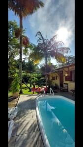 - une piscine dans une cour avec des palmiers dans l'établissement Sítio e Pousada Recanto Dos Ipês, à Teresópolis