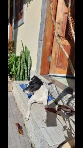 un chien assis devant une porte dans l'établissement Sítio e Pousada Recanto Dos Ipês, à Teresópolis