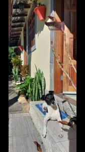 Galeriebild der Unterkunft Sítio e Pousada Recanto Dos Ipês in Teresópolis