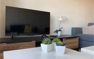 Televisyen dan/atau pusat hiburan di Stunning Apartment In Oostende