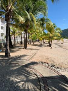 uma fileira de palmeiras numa praia arenosa em Apartamento vacacional - disfruta playa y toboganes a 32km de la ciudad em ArraijÃ¡n