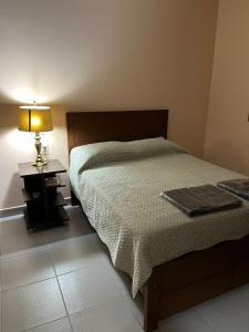 a bedroom with a bed and a lamp on a table at Armonia - La Victoria - Tarija in Tarija