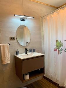 a bathroom with a sink and a shower curtain at Cabaña El Caballo Blanco in Llanquihue
