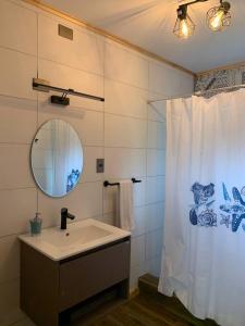 a bathroom with a sink and a mirror and a shower curtain at Cabaña El Caballo Blanco in Llanquihue