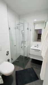 e bagno con doccia, servizi igienici e lavandino. di Gemütlich & zentral - Im Herzen von Braunschweig a Braunschweig