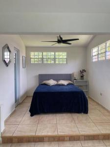 a bedroom with a bed and a ceiling fan at Villa Del Carmen Family Vacation Home in Isabela