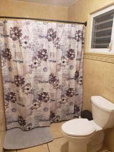 a bathroom with a toilet and a shower curtain at Villa Del Carmen Family Vacation Home in Isabela