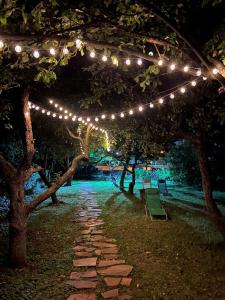 a string of lights hanging from some trees at night at Vila Breza in Soko Banja