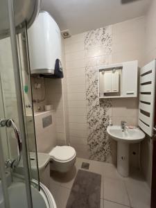 a small bathroom with a toilet and a sink at Sweet Apartments in Žabljak